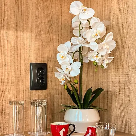 Ξενοδοχείο атрим арена *