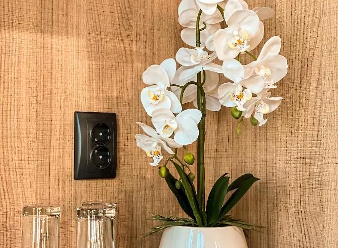 Хотел атрим арена *